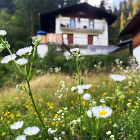 Apartment Haus Gratz